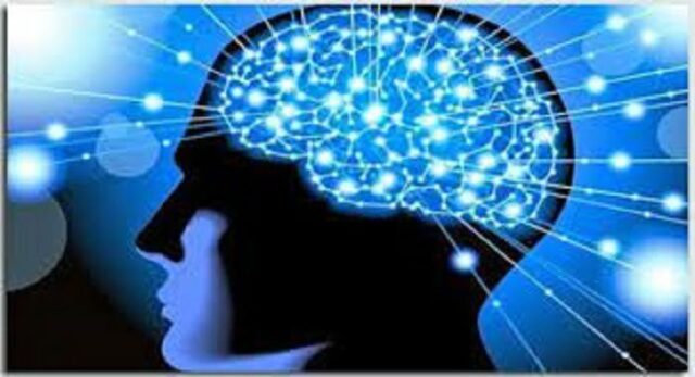 10 Tips Melatih Otak Sehat dan Lebih Cerdas